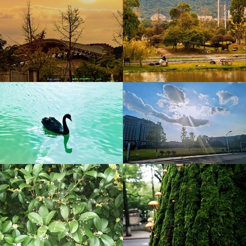 365英国上市集团